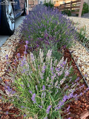 6210 Stonefly Drive, Colorado Springs, CO 80924