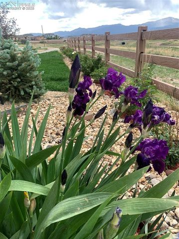 6210 Stonefly Drive, Colorado Springs, CO 80924