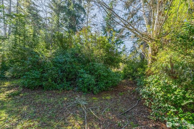 21333 Birch Place, Ocean Park, WA 98640