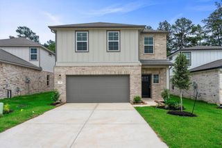 21 Courageous Side Way, Magnolia, TX 77354