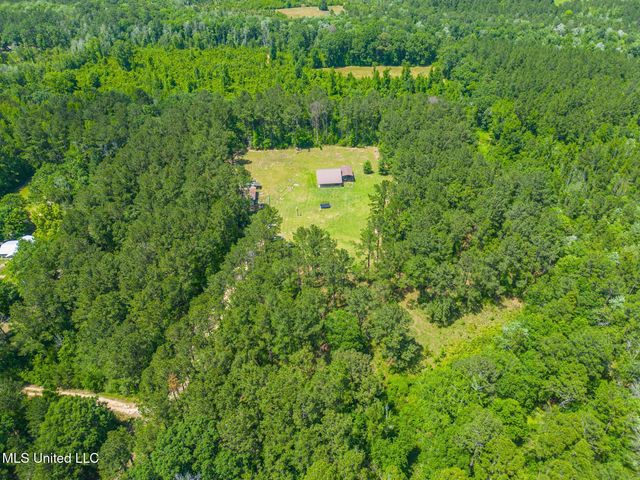 51 Decalb Oneal Road, Perkinston, MS 39573