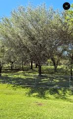 0 Megginson, Houston, TX 77048