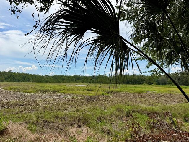 14120 NE 110TH AVENUE ROAD, Fort Mc Coy, FL 32134