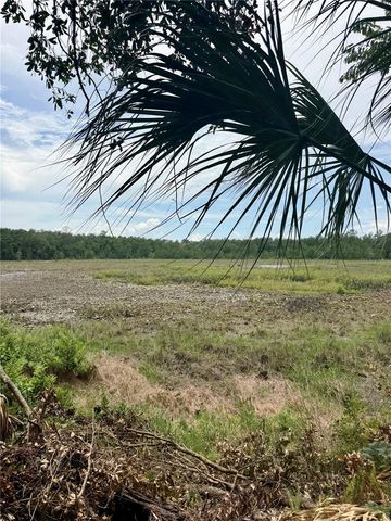 14120 NE 110TH AVENUE ROAD, Fort Mc Coy, FL 32134