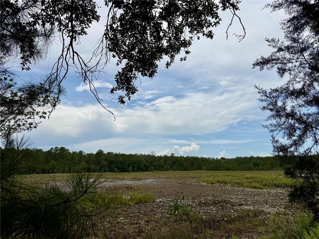 14120 NE 110TH AVENUE ROAD, Fort Mc Coy, FL 32134