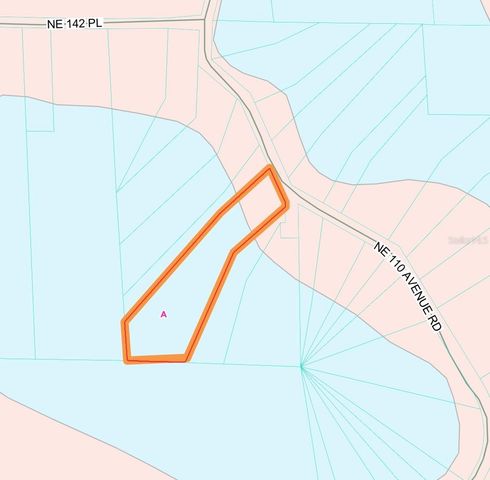 14120 NE 110TH AVENUE ROAD, Fort Mc Coy, FL 32134