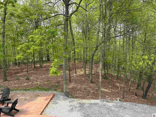 718 Marina Village Dr # 9, Grand Rivers, KY 42045