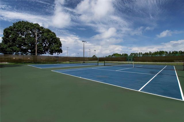 11330 VILLAS ON THE GREEN DRIVE, Riverview, FL 33579