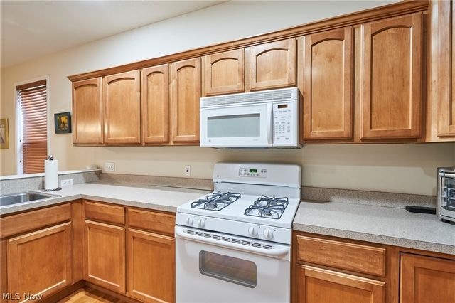 1096 Venice Court, Macedonia, OH 44056
