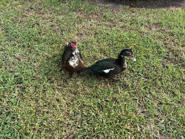 4863 Sable Pine Circle D, West Palm Beach, FL 33417