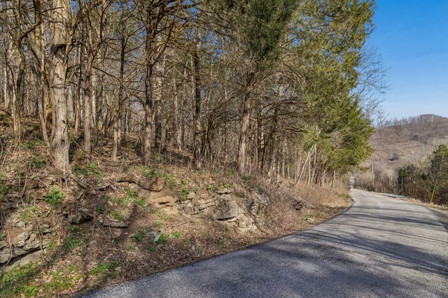 0 Dyer Branch Road, Gordonsville, TN 38563