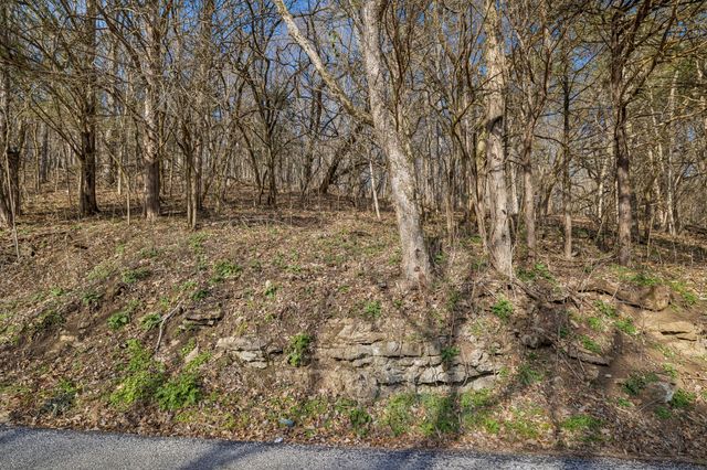 0 Dyer Branch Road, Gordonsville, TN 38563