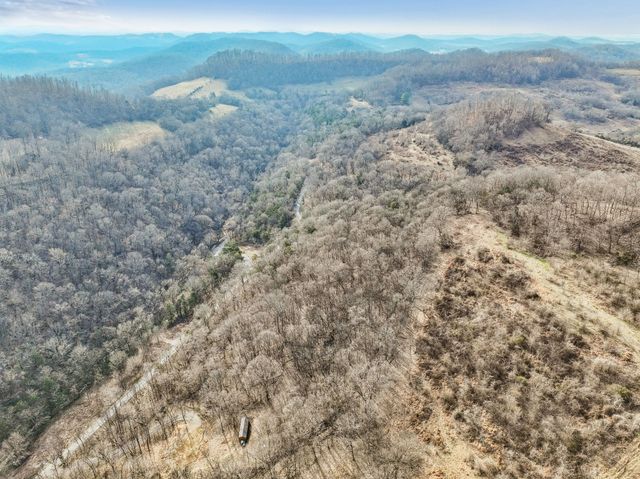 0 Dyer Branch Road, Gordonsville, TN 38563