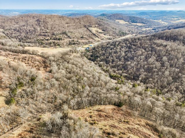 0 Dyer Branch Road, Gordonsville, TN 38563