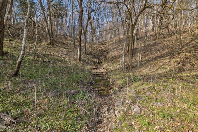 0 Dyer Branch Road, Gordonsville, TN 38563