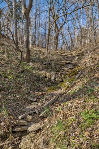 0 Dyer Branch Road, Gordonsville, TN 38563