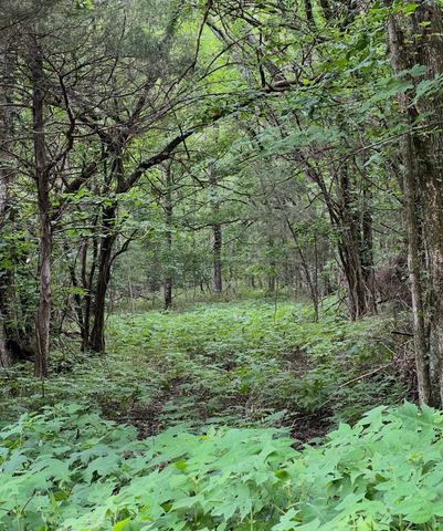0 Dyer Branch Road, Gordonsville, TN 38563
