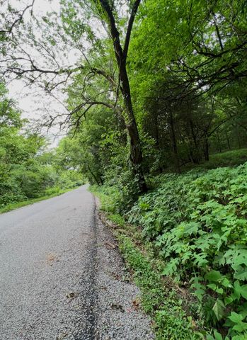 0 Dyer Branch Road, Gordonsville, TN 38563