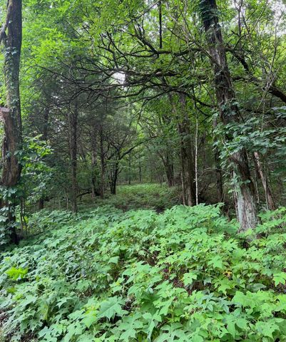 0 Dyer Branch Road, Gordonsville, TN 38563