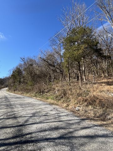 0 Dyer Branch Road, Gordonsville, TN 38563
