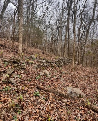 0 Dyer Branch Road, Gordonsville, TN 38563