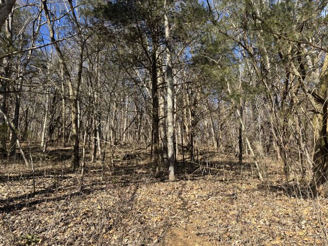 0 Dyer Branch Road, Gordonsville, TN 38563