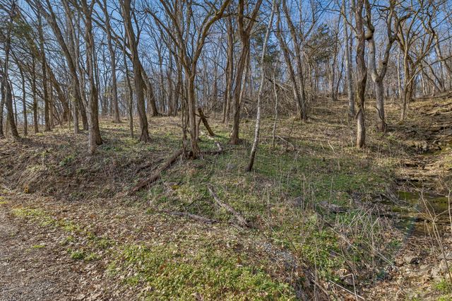 0 Dyer Branch Road, Gordonsville, TN 38563