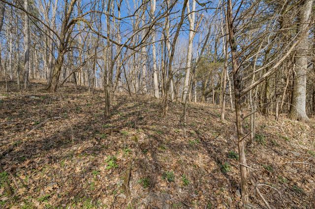 0 Dyer Branch Road, Gordonsville, TN 38563