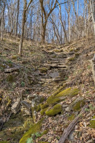 0 Dyer Branch Road, Gordonsville, TN 38563