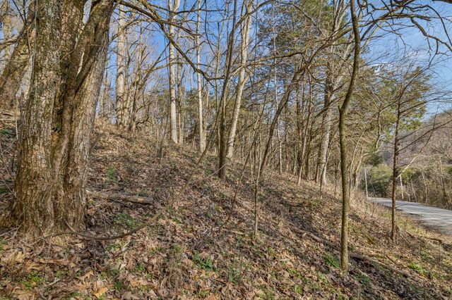 0 Dyer Branch Road, Gordonsville, TN 38563