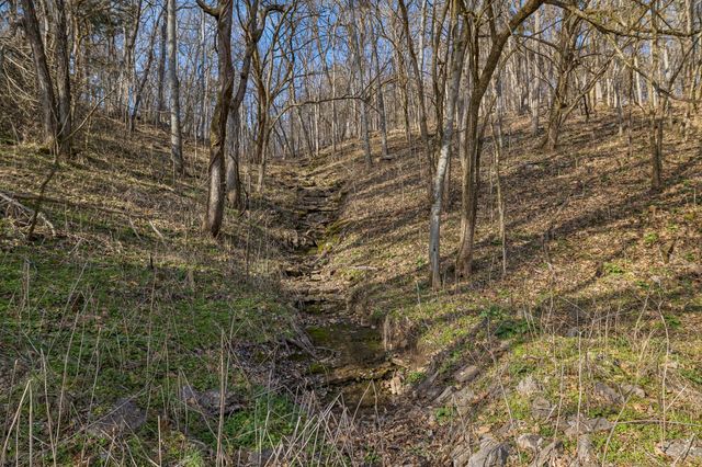 0 Dyer Branch Road, Gordonsville, TN 38563