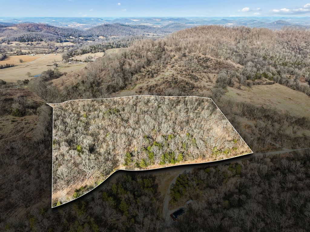 0 Dyer Branch Road, Gordonsville, TN 38563