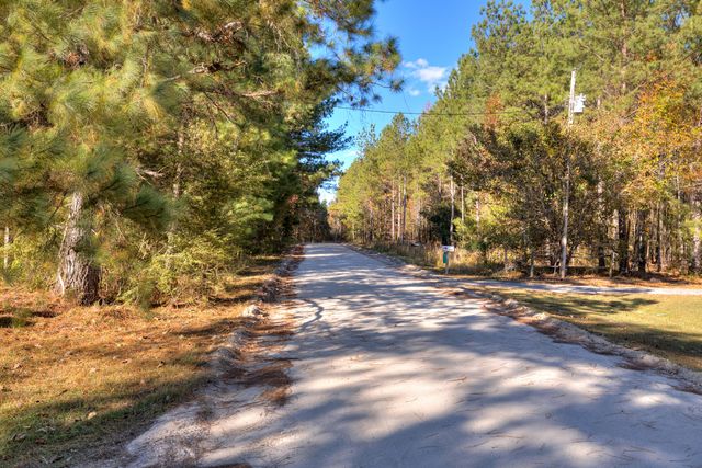 1064 Brandywine Trce, Summerton, SC 29148