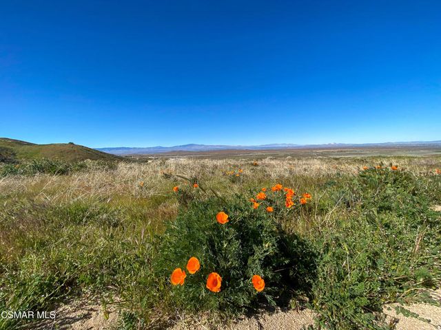 44132 Munz Ranch Road, Lake Hughes, CA 93532