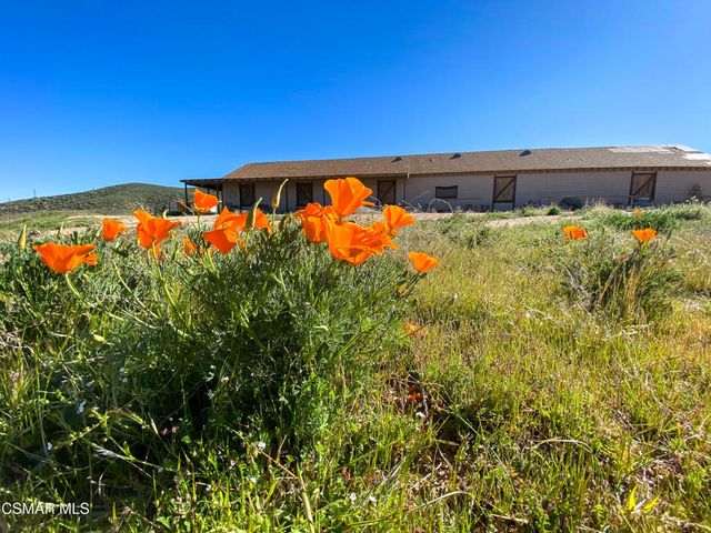 44132 Munz Ranch Road, Lake Hughes, CA 93532