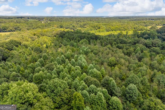 3894 Bowersville Highway, Bowersville, GA 30516