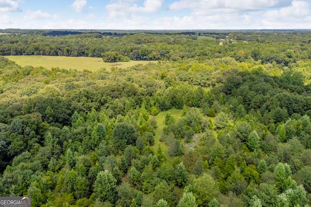 3894 Bowersville Highway, Bowersville, GA 30516
