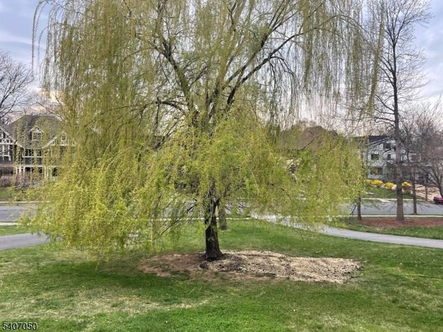 8 Madison Ave, Montclair Twp., NJ 07042