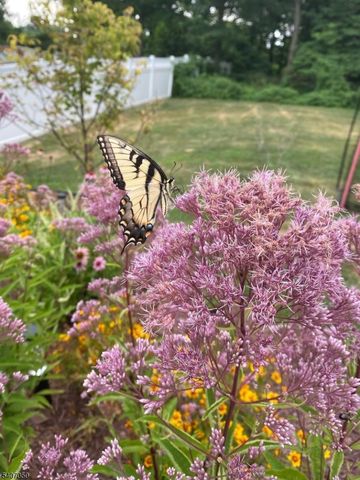 8 Madison Ave, Montclair Twp., NJ 07042