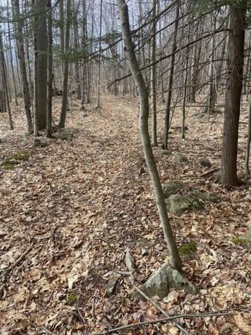 219 Bailey Road, Jewett, NY 12444