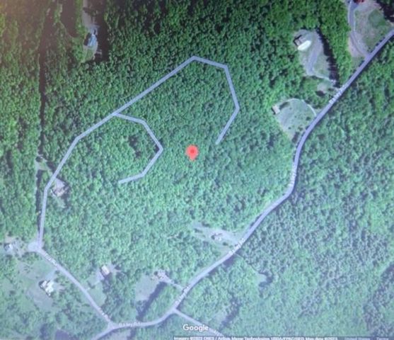 219 Bailey Road, Jewett, NY 12444
