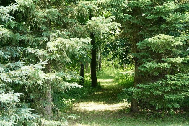 N3855 SHATTUCK STREET, Medford, WI 54451