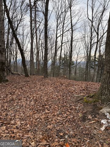 LOT 7 Westmoreland Road, Cleveland, GA 30528