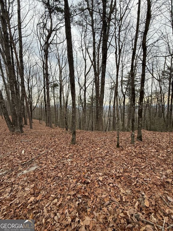 LOT 7 Westmoreland Road, Cleveland, GA 30528