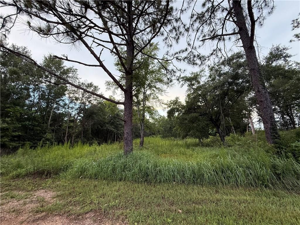 10224 Magnolia Road, Irvington, AL 36544