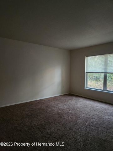 10423 Chalmer Street, Spring Hill, FL 34608