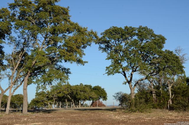 LOT 12 Byrd Ranch Road, Blanco, TX 78606