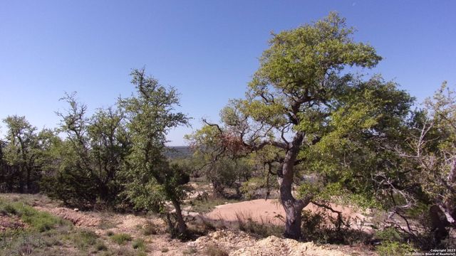 LOT 12 Byrd Ranch Road, Blanco, TX 78606