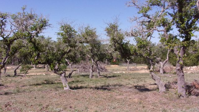 LOT 12 Byrd Ranch Road, Blanco, TX 78606
