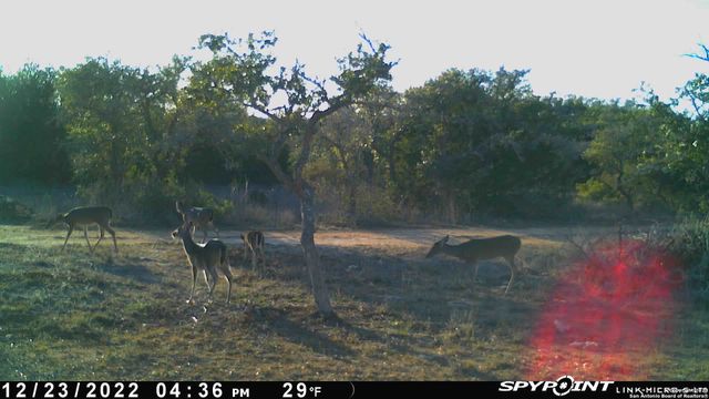 LOT 12 Byrd Ranch Road, Blanco, TX 78606